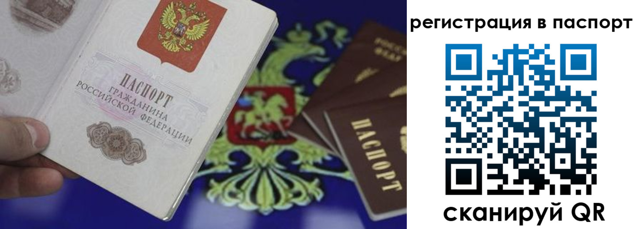 найти адрес прописки в Саратове